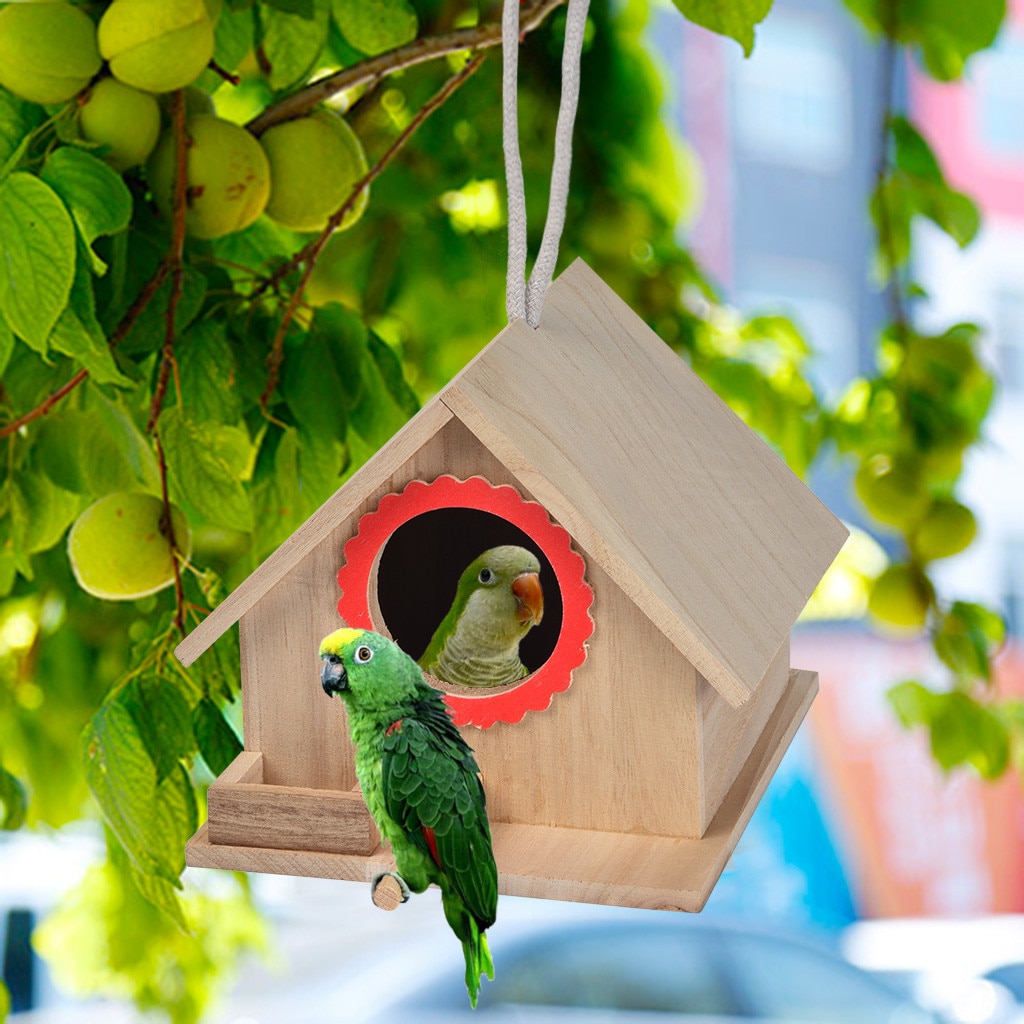 Curated visual reference: Fresh Look at Large Nest Dox Nest House Bird House Tree Viewing