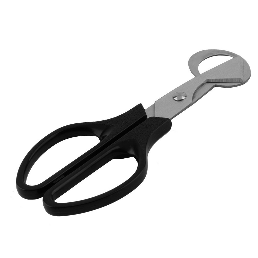 Sales Quail Egg Shells Scissors Household Tool Scissors Cracker Opener Cigar Cutter Stainless Steel Blade Tool