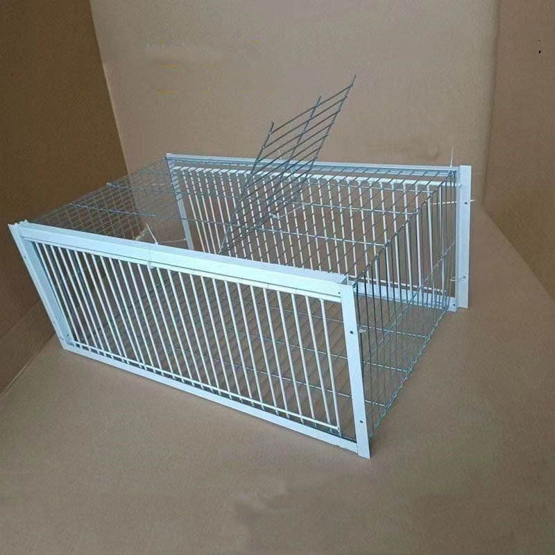 Piège à oiseaux pour pigeons galvanisé pliable au milieu, Cage pour pigeons furaux, voie humaine avec l'entrée unidirectionnelle, piégeage des pigeons, des colombes dans les cages