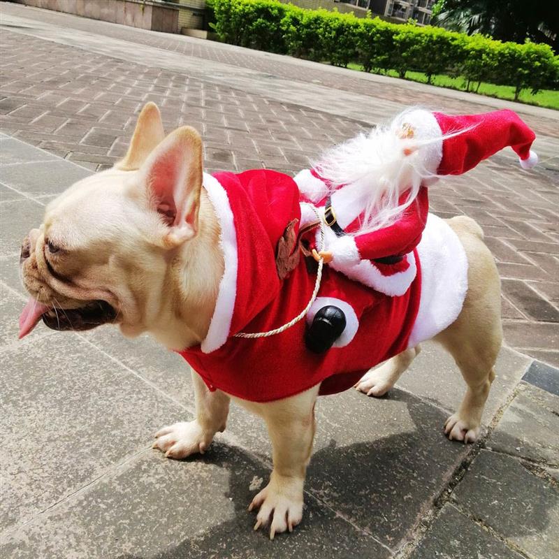 Disfraz navideño de perro, ropa de Papá Noel para montar a caballo, perro de Navidad con astas de renos, Gato lindo cálido, disfraces de Navidad para mascotas