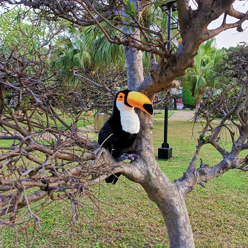 30cm grand Kyorochan Simulation Toucan oiseau Animal en peluche jouet poupée enfants d'anniversaire décoration de la maison