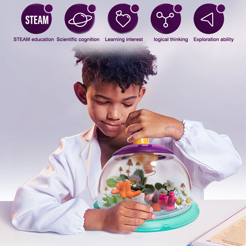 Small Pet Observation BoxHousehold Portable Small Fish Tank Plastic Transparent Insect Observation Box For Kids Children