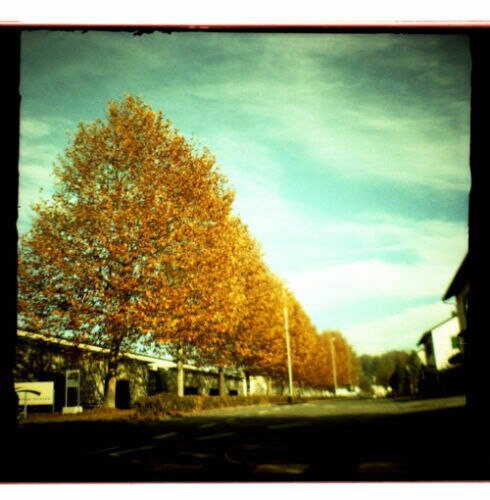 Nouvelle caméra HOLGA double objectif Reflex 120 GTLR/120 GTLR caméra Film violet