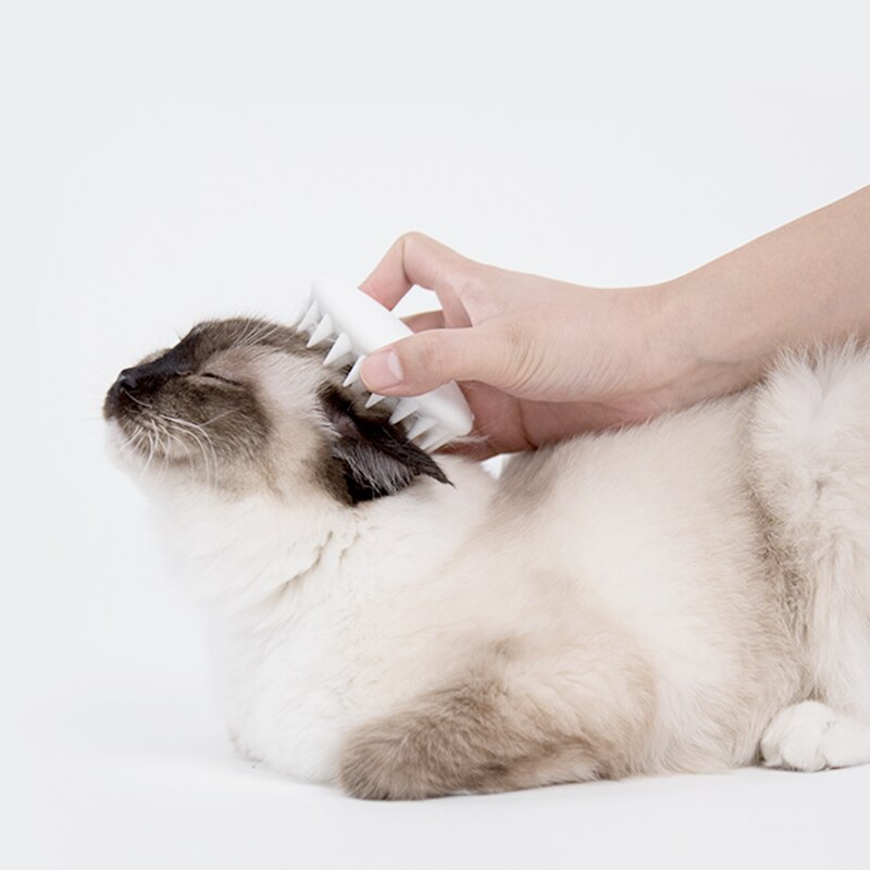 Petkit Kat Grooming Brush Kammen Katten Massage Kam Hond Bad Borstel Honden Accessoires Kat Kammen Kat Accessoires Dierbenodigdheden