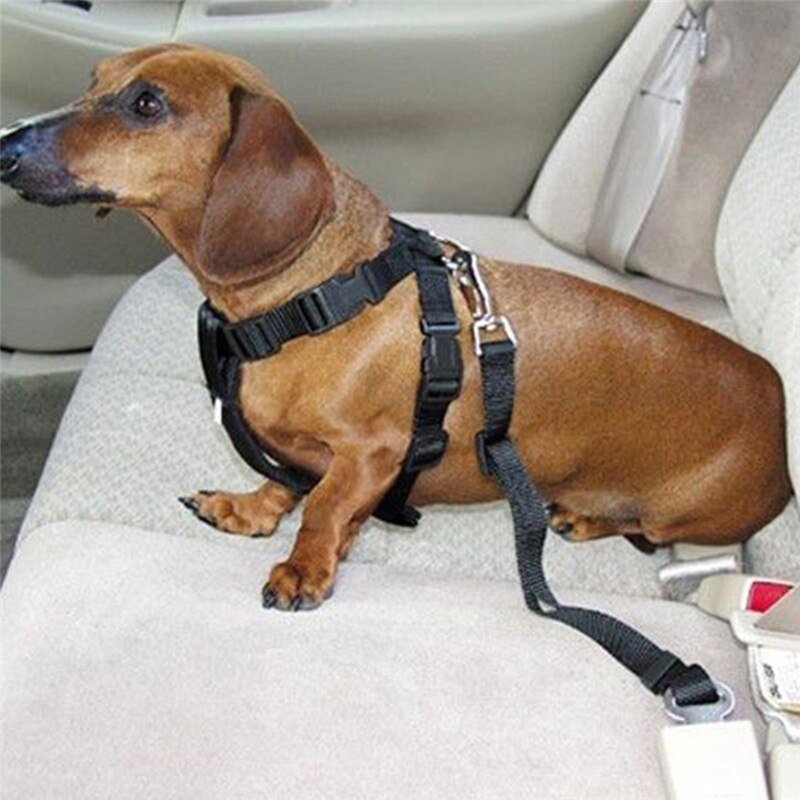 5 Kleuren Pet Veiligheidsgordels Hond Auto Veiligheidsharnas Terughoudendheid Lead Leash Reizen Clip