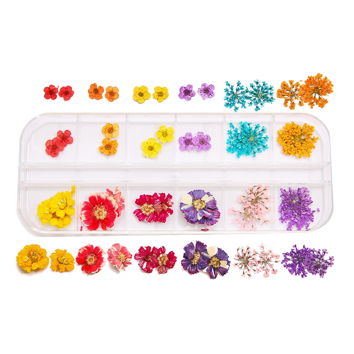 1 Doos Gedroogde Bloemen Droge Planten Voor Hars Mallen Vullingen Epoxy Hars Hanger Ketting Sieraden Maken Craft Diy Nail Art decoratie: Style16