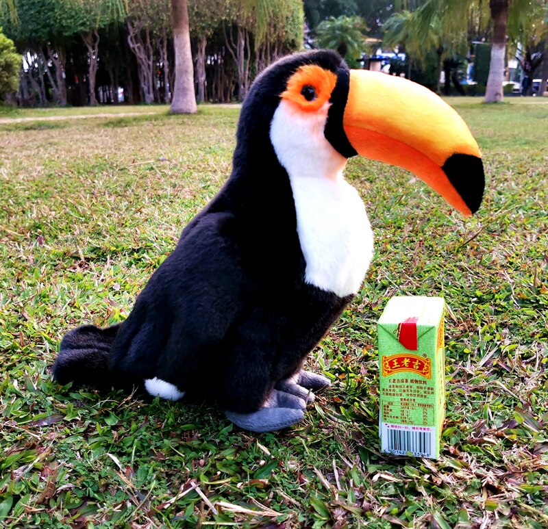 30cm grand Kyorochan Simulation Toucan oiseau Animal en peluche jouet poupée enfants d'anniversaire décoration de la maison