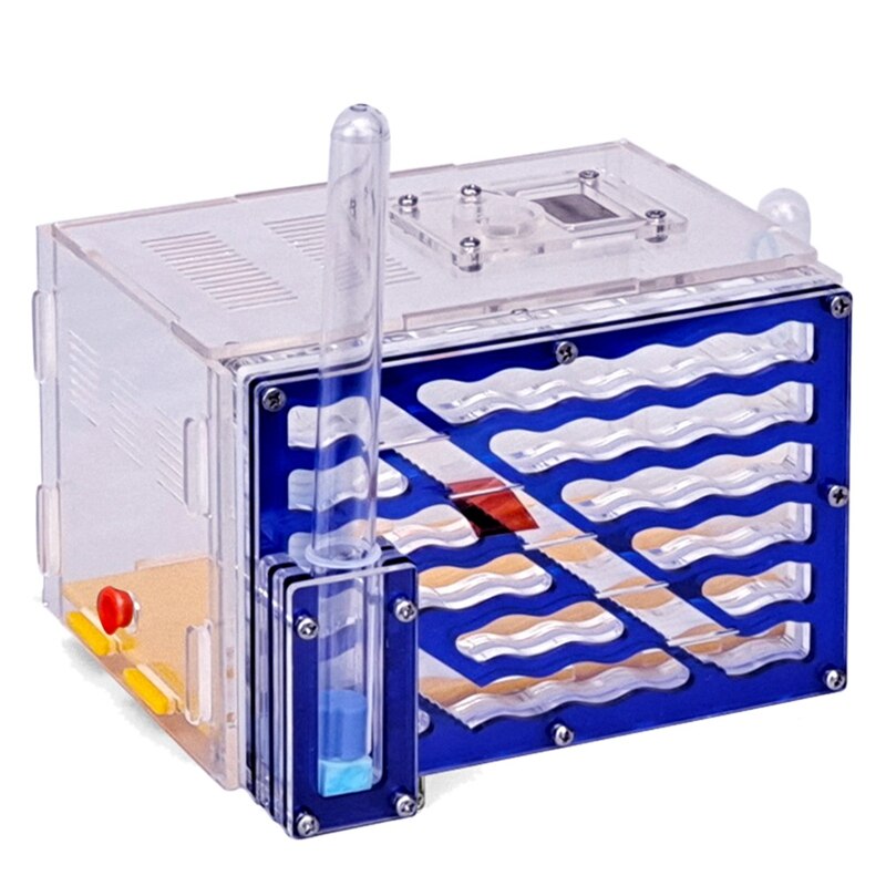 DIY Moisture with Feeding Area Ant Nest,Ant Farm Acrylic,Insect Ant Nests Villa Pet Advanced Mania for House Ants: blue