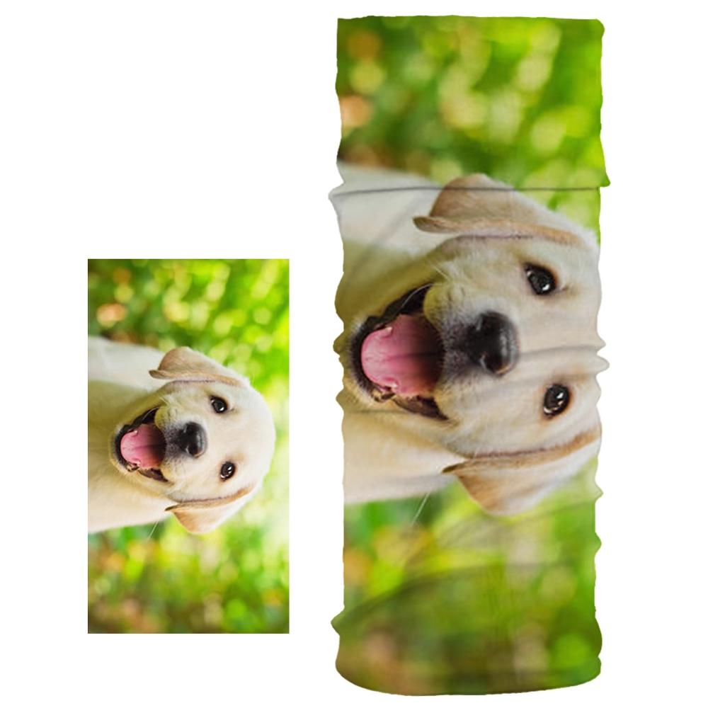 Neue Staubdicht Schal Nette Hund Haustier aufbringen unisex Magie Rohr Schal Weichen, Elastischen Material Joggen Sport Fitness Stirnband Armbinde: 04