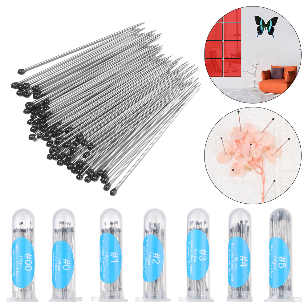 Espécimen de acero inoxidable de 100 piezas, alfileres para insectos, suministros de dissección de insectos, aguja con caja de plástico, accesorios de Entomología de laboratorio