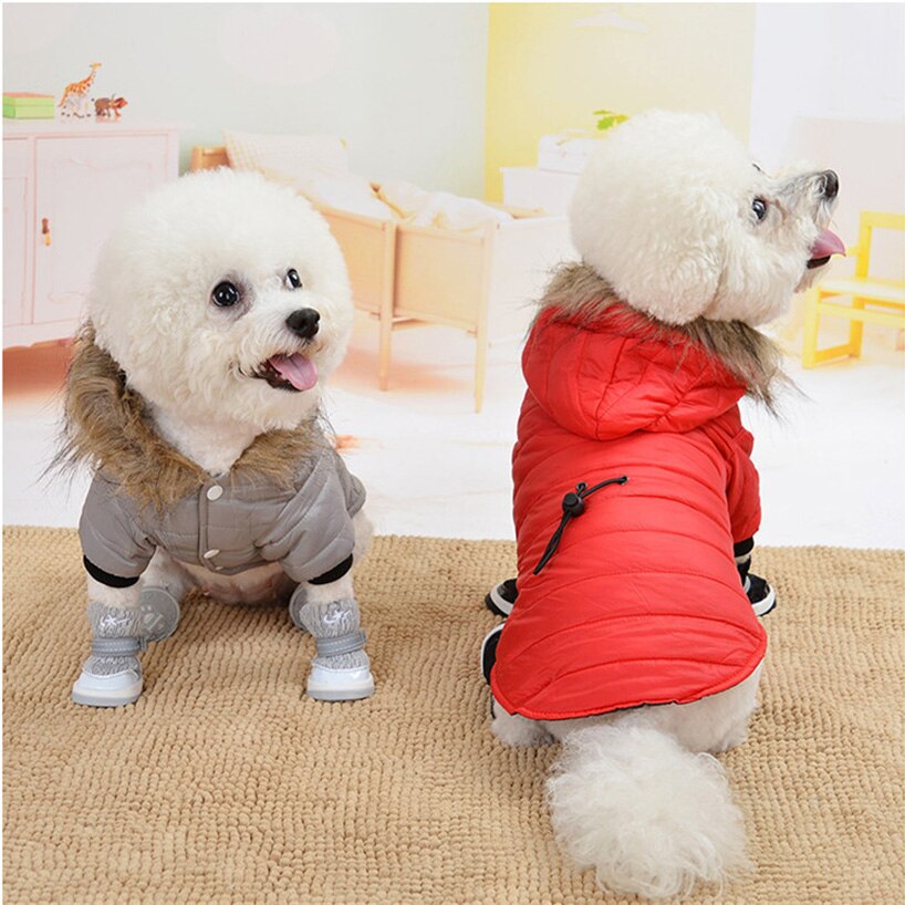Sweat-shirt à capuche pour animaux de compagnie, vêtements chauds d'hiver pour petits et moyens chiens
