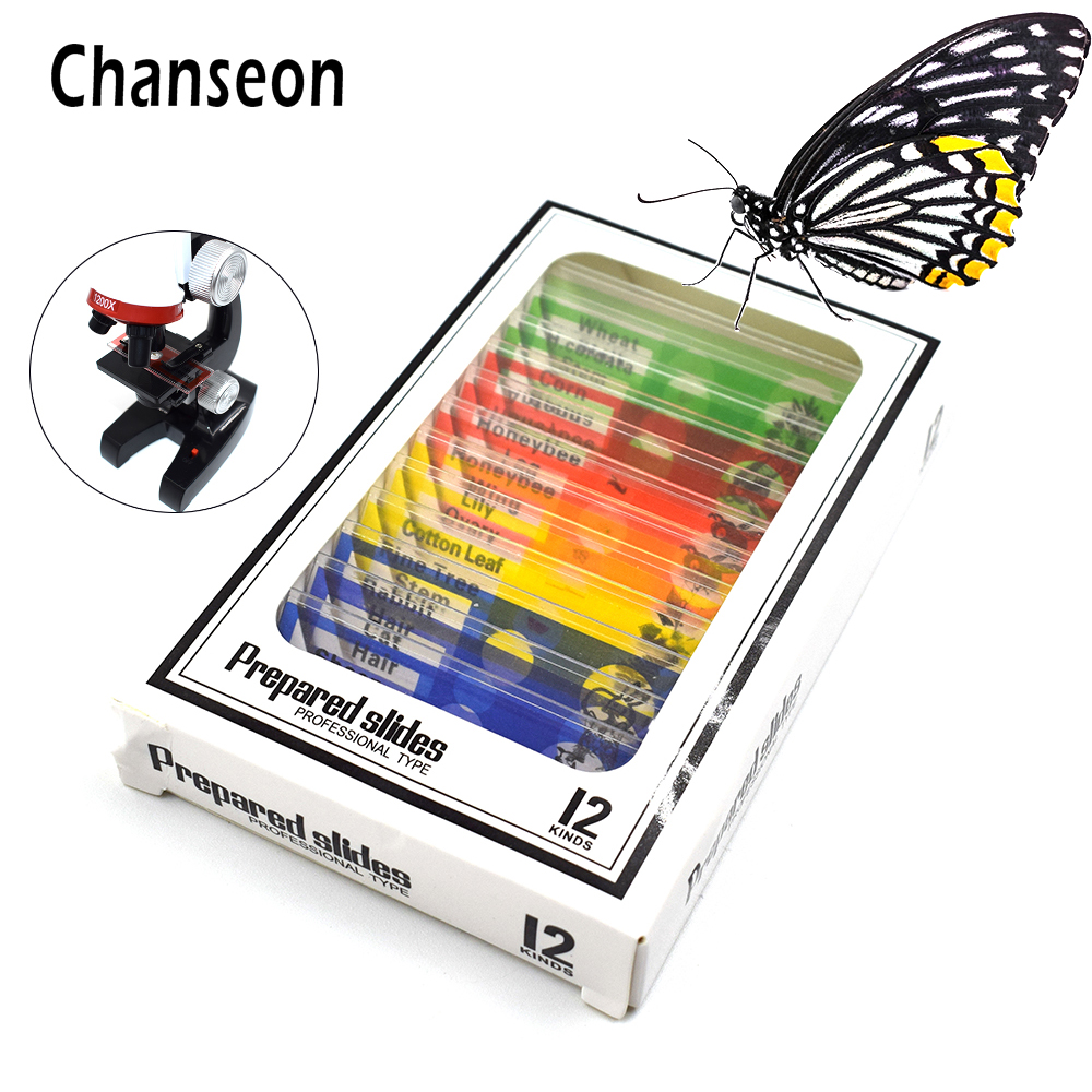 Chanseon 12pcs/set Plastic Microscope Slides Biological Specimen with for Children Student Microscope Enlighten Education