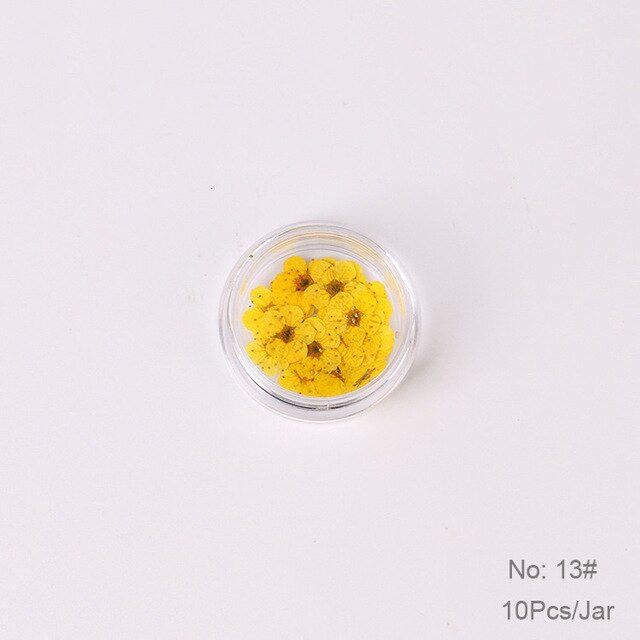 10 st  /1 box äkta nagelblommor gör-det-själv naturliga torkade blommor naglar konst dekoration torr flowe manikyr tillbehör blomdekaler: 13