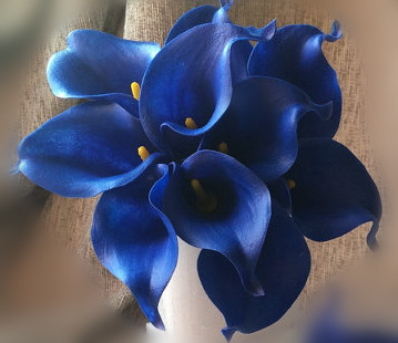 Oasis Teal Wedding Flowers Teal Blue Calla Lilies 10 stem Real Touch Calla Lily Bouquet Wedding Centerpieces artificial flowers: solid royal blue