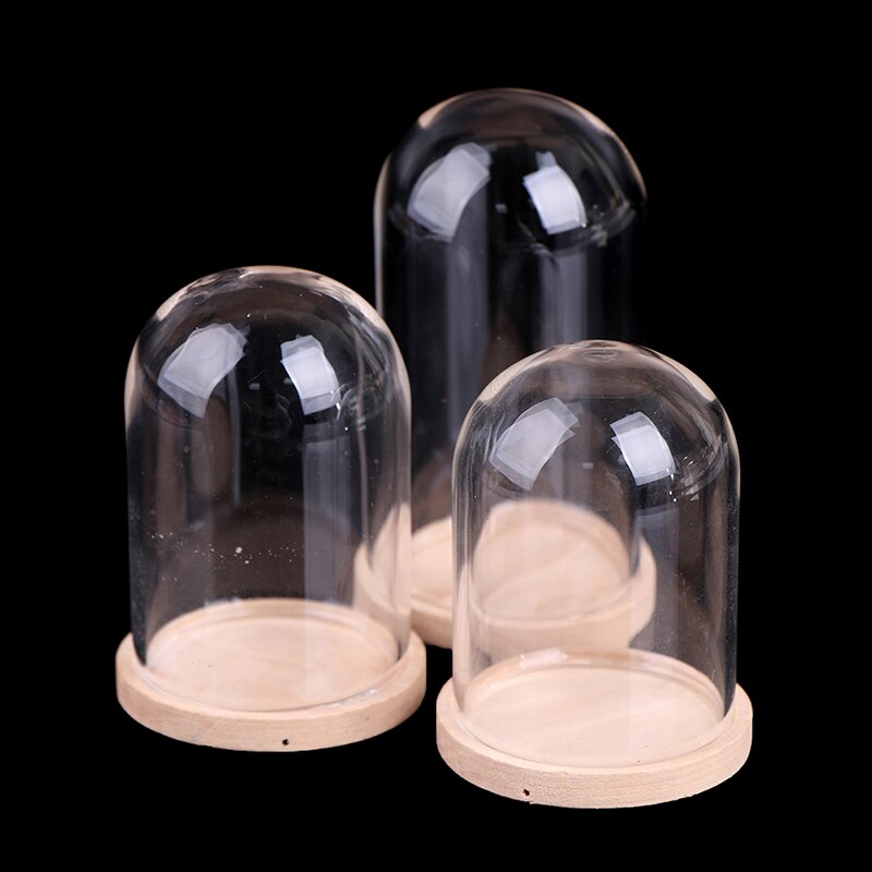 Vases de décoration en verre, présentoir de fleurs, Cloche, dôme, préservation immortelle + Base en bois, couvercle en verre de fleur éternelle