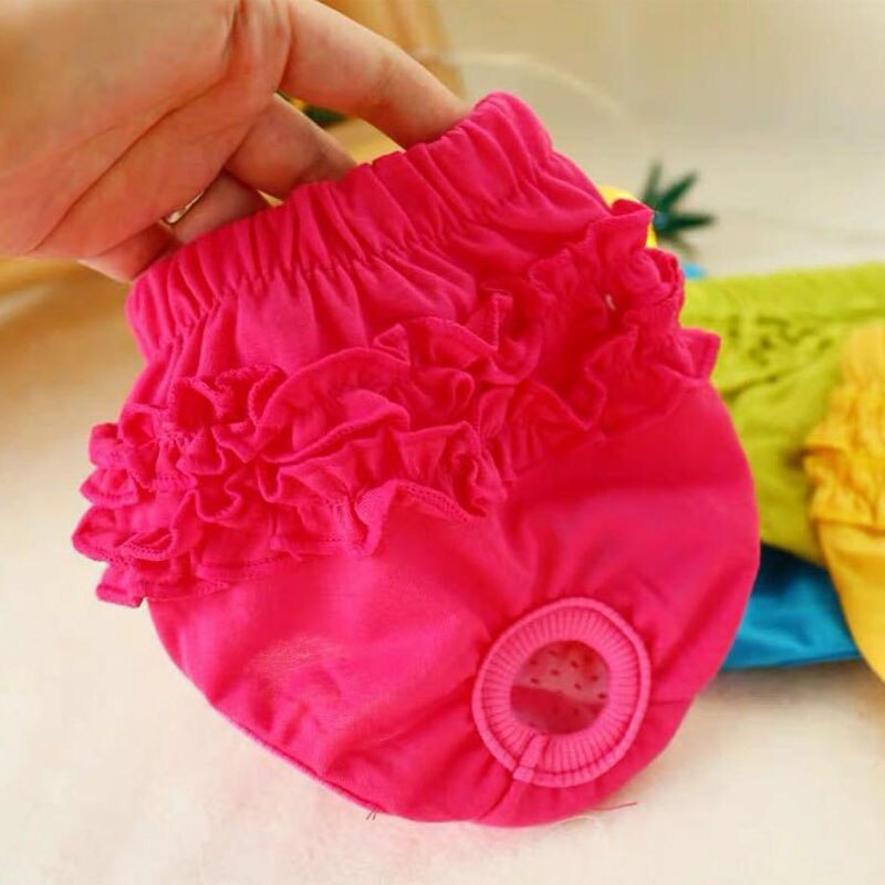 Huisdier Kant Fysiologische Broek Antibacteriële Hond Luier Wasbare Meisje Hond Menstruatie Ondergoed Korte Sanitaire Duurzaam Pet Shorts