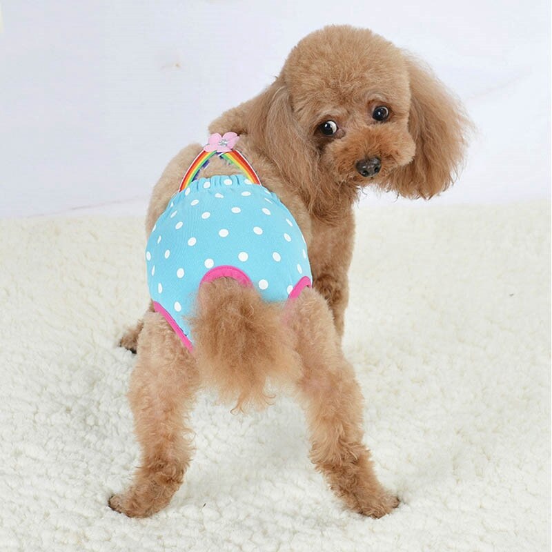 Short de chien hygiénique de | Joli Short pour chien, pantalon court pour chien physiologique, sous-vêtements confortables, pantalon pour chiot féminin pour animaux de compagnie