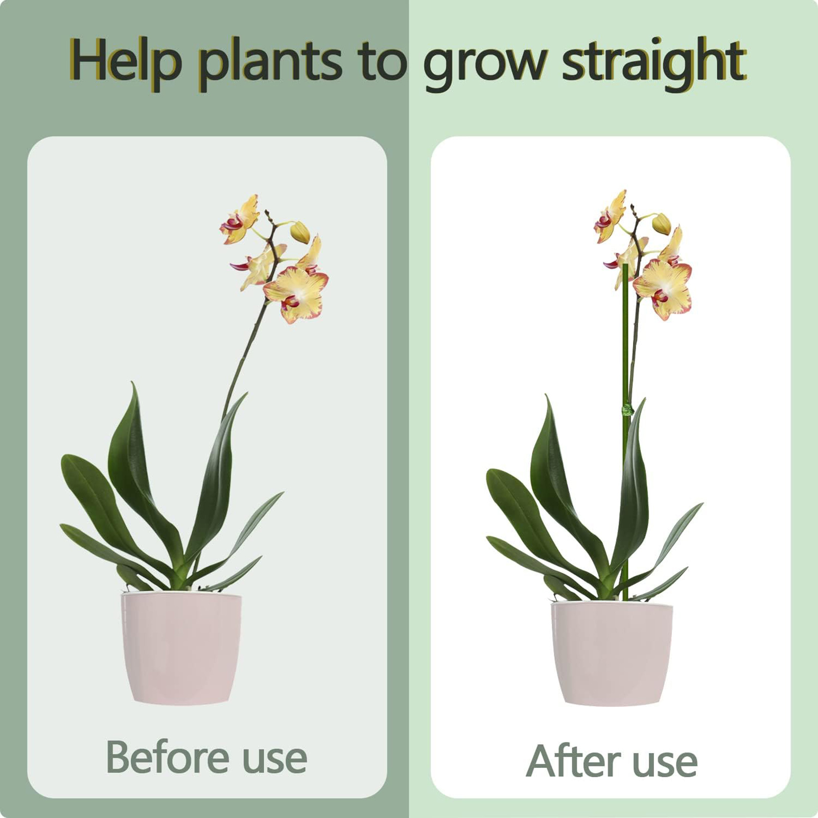 Palos de soporte para plantas, Clips reutilizables para soporte de flores, varilla de orquídeas, palos para plantas trepadoras, herramienta de jardín, 20/40/60 Uds.