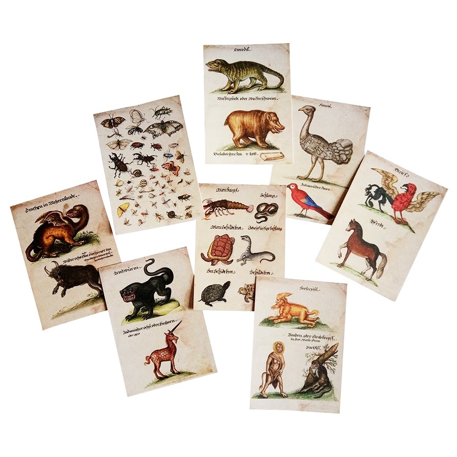 Pack De 6 Tarjetas De Navidad Con Animales: Gatos, Perros Y Mascotas. Otter House, ¡ideal Para Regalar!