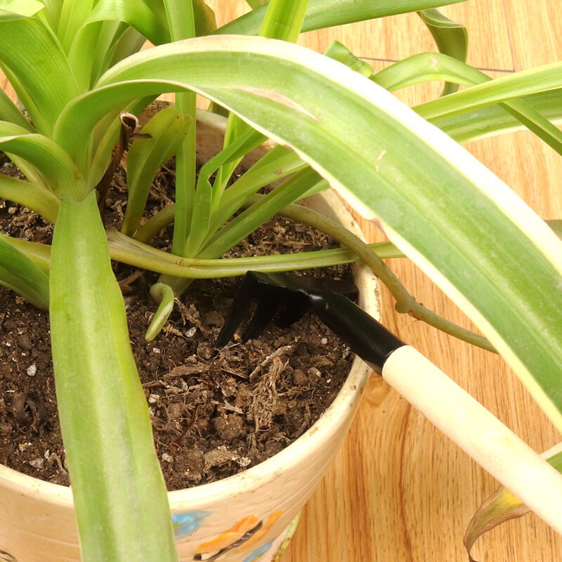 1 Juego de herramientas de jardinería plantas MiNi excavación suelo pala Friable escorpión rastrillo mango de madera luz fácil de llevar para Gaden Bonsai