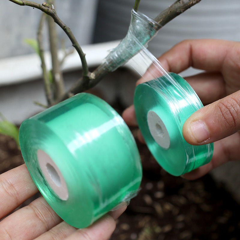 Fita de enxerto verde extensível, 100/300m, para suporte de plantas, uso doméstico, jardim, enxertia, fita transparente para árvores frutíferas