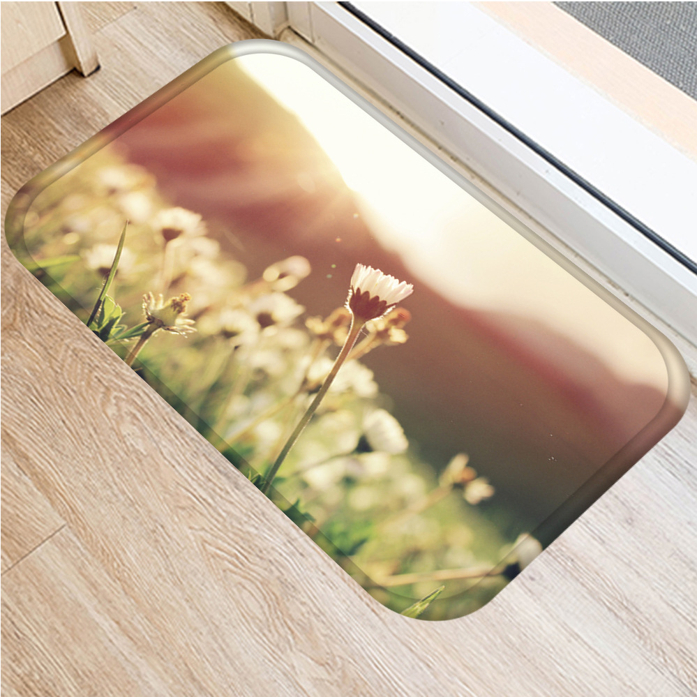 INS flower-paillasson antidérapant | Fleurs, sous vide, tapis de sol de cuisine, sol de bain, tapis d'entrée à la maison, tapis de prière pour enfants 40x60cm DD0026: 8