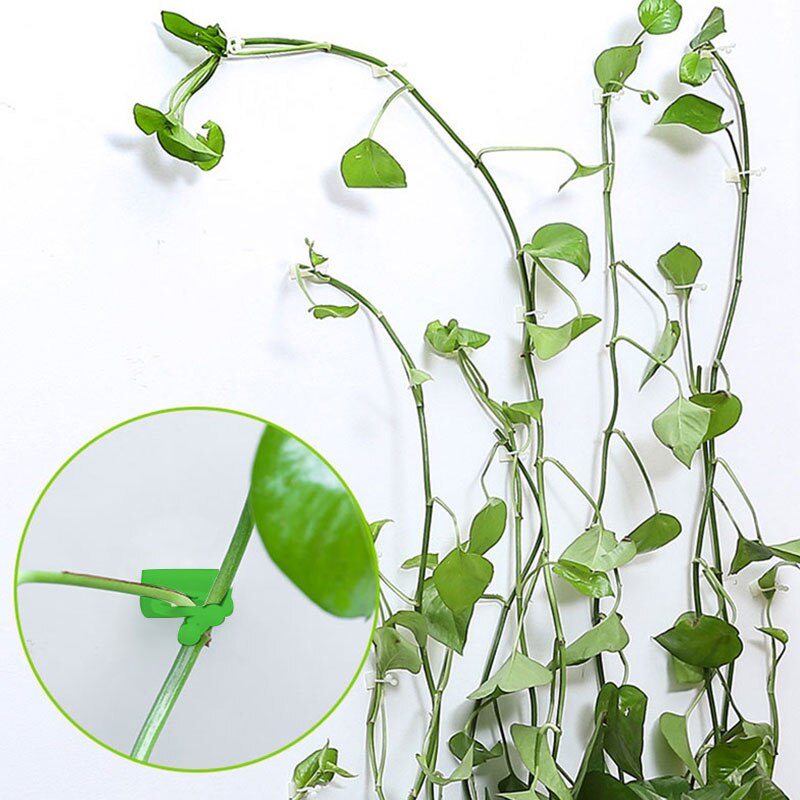 Enganche Invisible para pared de escalada, soporte de gancho adhesivo para plantas, 10 Uds.