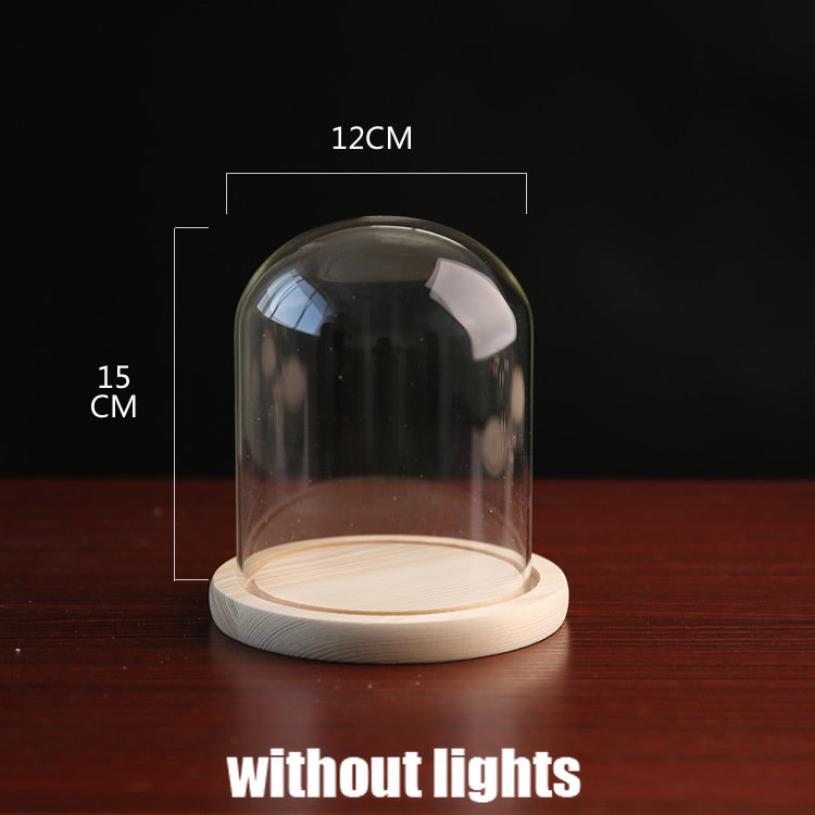 Tabletop Display Glass Cover Terrarium Container Decor Dry Flower Ornaments Craft Bell Jar Wood Base with Feet LED Light Holder: light green