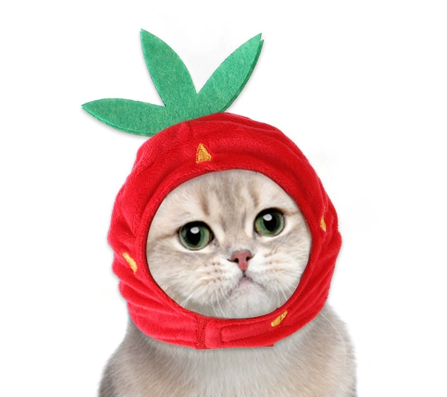 Lustiges Haustier-Stirnband, Plüschgarn, Katze, Hundekappe, Panda, Schwein, Haustier, warme Haustiermütze, KüKen, Cosplay, Zubehör, Kopfschmuck, Kostüm: Marine Blau