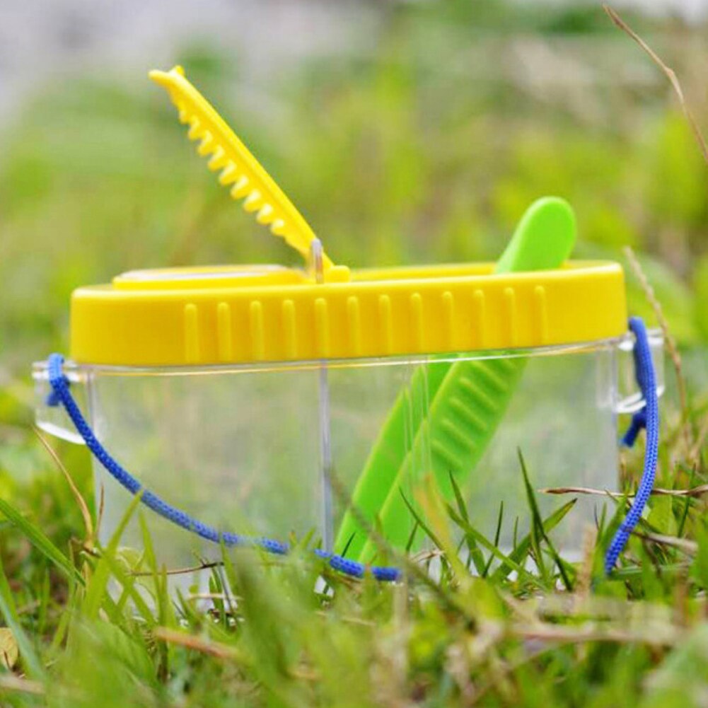 Crianças bug observação inseto visor lupa caixa exploração brinquedo com pinças crianças brinquedos educativos para crianças presente