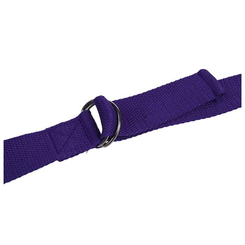 Lange Yoga Stretching Riem Fitness Training Riem Riem-Paars