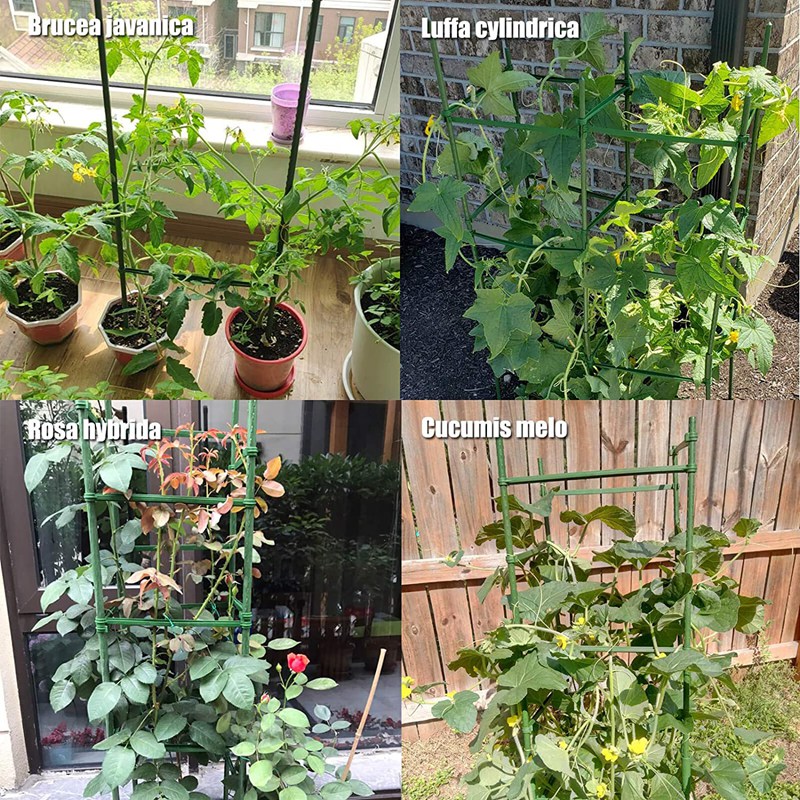 Gabbie per pomodori pali di supporto per piante da giardino Set traliccio per verdure all'aperto per piante rampicanti verticali 84 pezzi