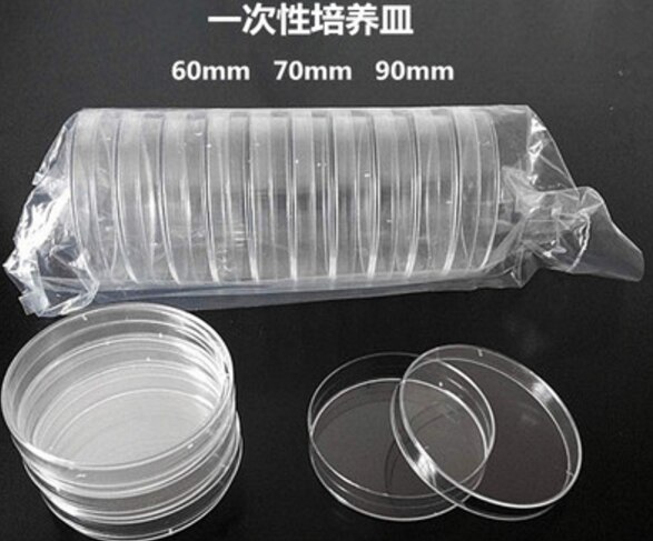 10pcs Clear Glass Glass Petri Dishes Cell Sterile Culture Dish Lab Supplies Feeder Tray Round Container Aquarium
