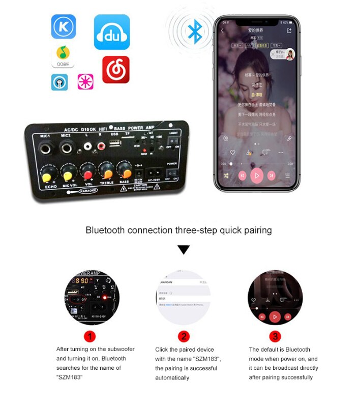 Auto Digitale Bluetooth Stereo Versterker Boord Subwoofer Ac 220V 12V 24V Dual Microfoon Karaoke Versterkers Voor 8-12 Inch Speaker
