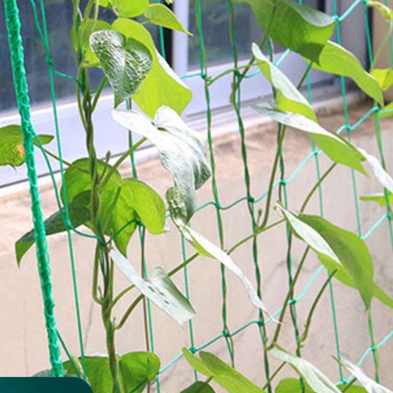 Garden Plants Climbing Net Plastic &amp; Nylon Net Morning Glory Flower Vine Netting Support Net Grow Net Holder Trellis Netting
