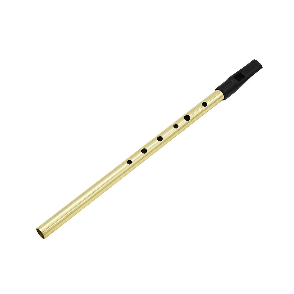 IRIN Irish Whistle Flute D Key Ireland Flute 6 Hole D Tone Gold Orff Musical Instrument Flute 30.3*1.5*1.2cm