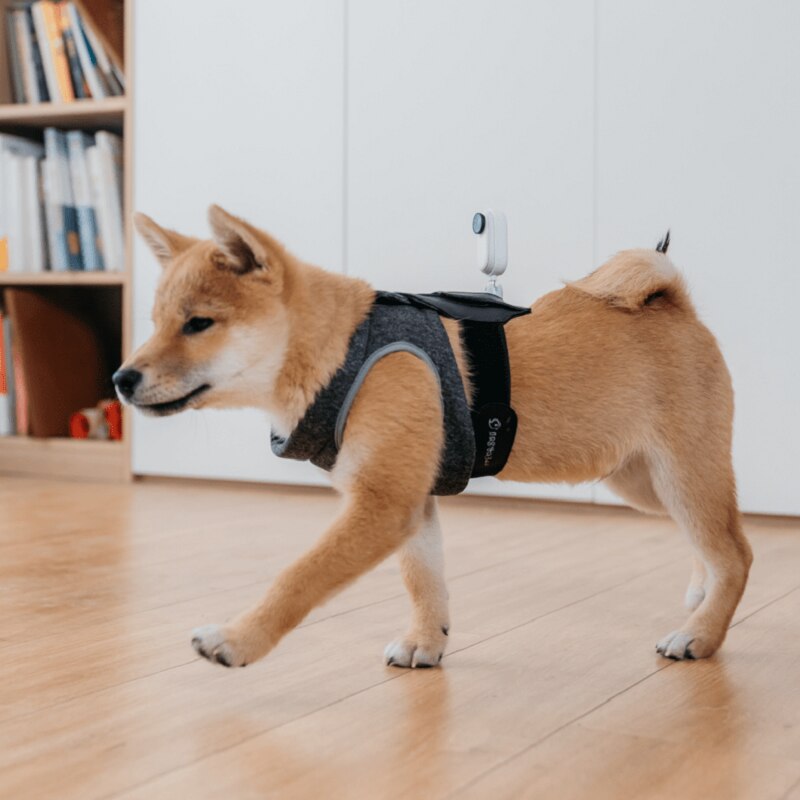 Insta360 GO 2 Pet Strap Mount Original Accessories for Insta 360 GO 2