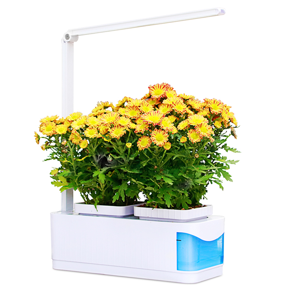 Volledige Spectrum Plant Groei Lamp Voor Indoor Zaden Groente Bloem Plant Doos Kas Hydrocultuur Grondloze Cultuur Ingemaakte: Packaging A / JP