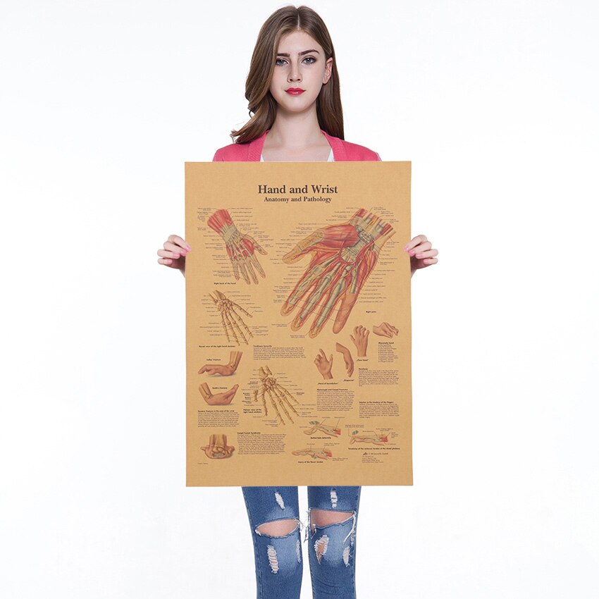 Kroppsstruktur nervesystem plakat kafé barer kjøkken dekor plakater årgang kraftpapir plakat retro veggklistremerker 42 x 30cm: 9