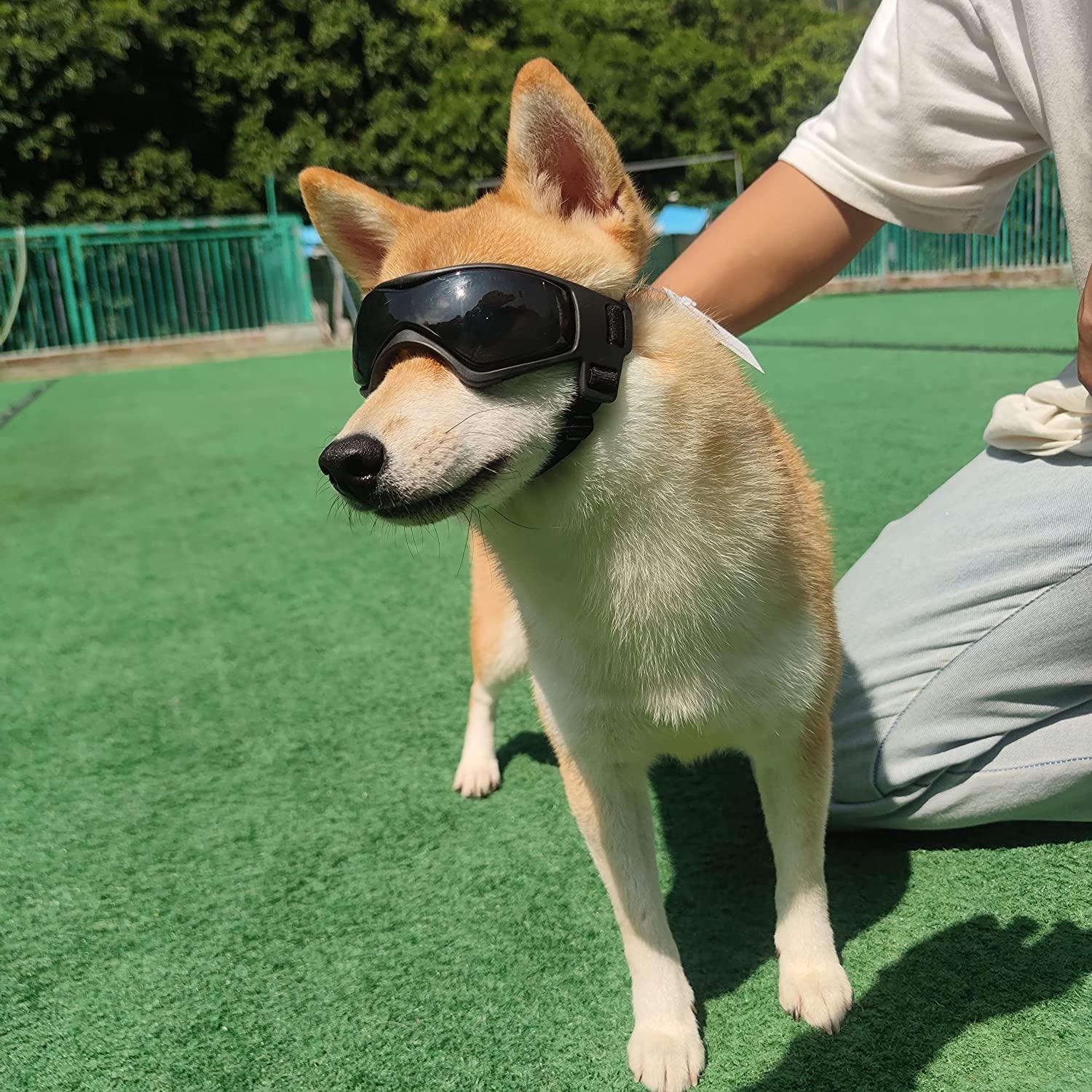 Haustierzubehör für Hunde, draussen, UV-Schutz, Sonnenbrille, Katzen- und Hundebrille für kleine, mittelgroße Welpenbrille, verstellbare Träger