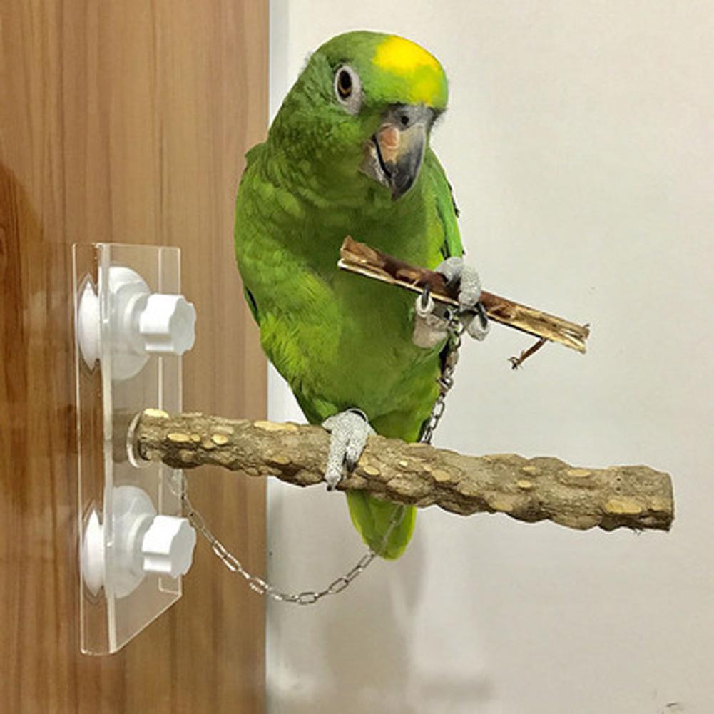 Fugle papegøje træ stående stang rack sugekop bruser aborre bar stang badelegetøj til fuglebur kæledyrsforsyning