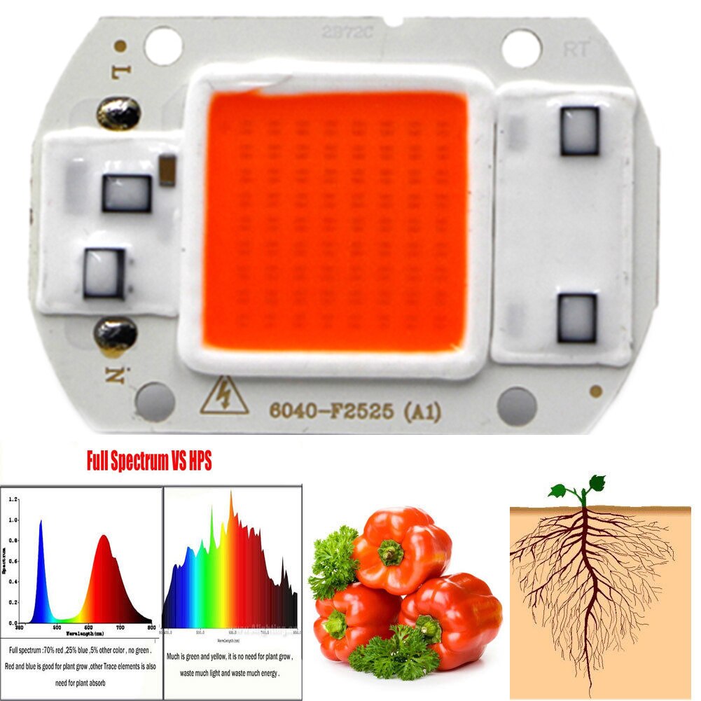 LED Grow COB Chip Full Spectrum LED Grow Light Phy... – Grandado