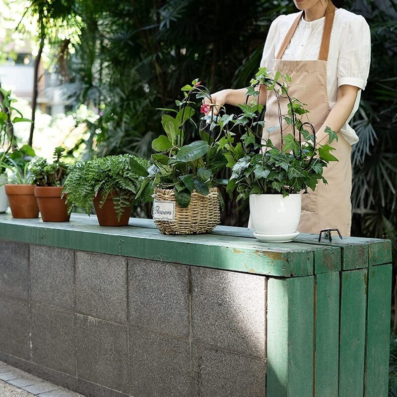 Cactus Shape Garden Metal Climbing Support Stake Stand Frame for Flowers Plants Vegetables Tomato Vine Rack Indoor Outdoor