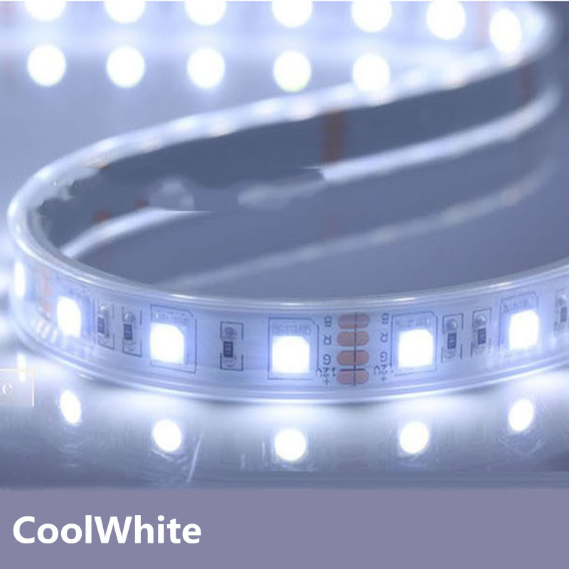 IP68 impermeable 5050 tira de LED de 12V 12V 60LED/M blanco cálido RGB uso bajo el agua por barco estanque piscina tanque de peces en el cuarto de baño
