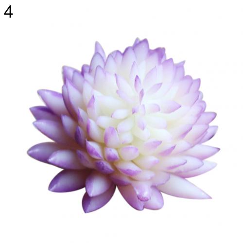 Mini bonsái Artificial de plástico para decoración de hogar y oficina, plantas suculentas de Echeveria, 1 unidad: 4
