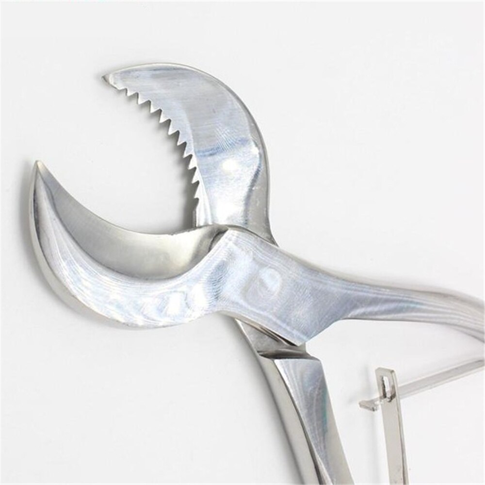 Ciseaux à plâtre pince coupante ciseaux à gypse laboratoire dentaire grand 20 cm petit 16 cm fournitures de laboratoire