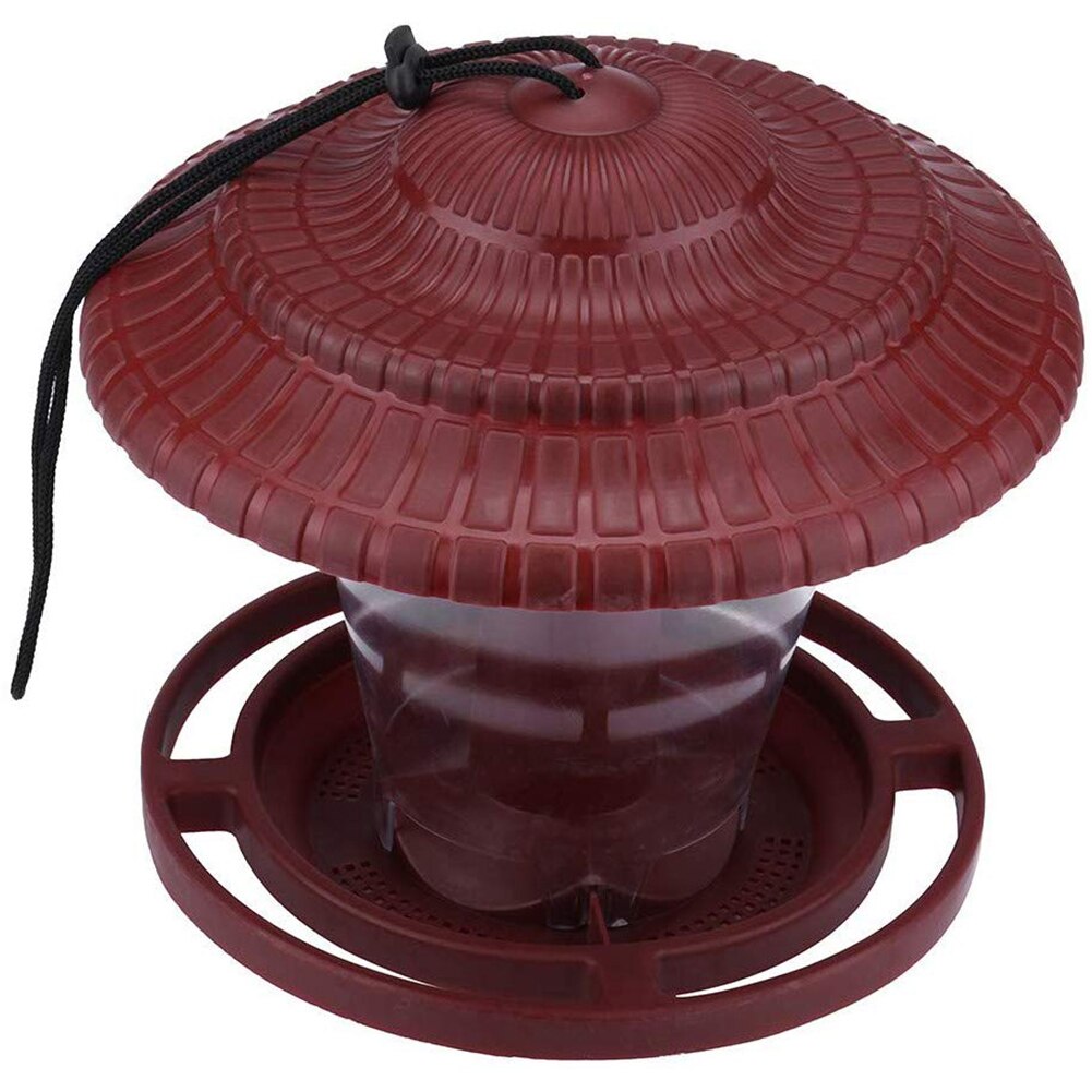 Cacahuètes Décortiquées Ou Arachides Pour Oiseaux Du Jardin