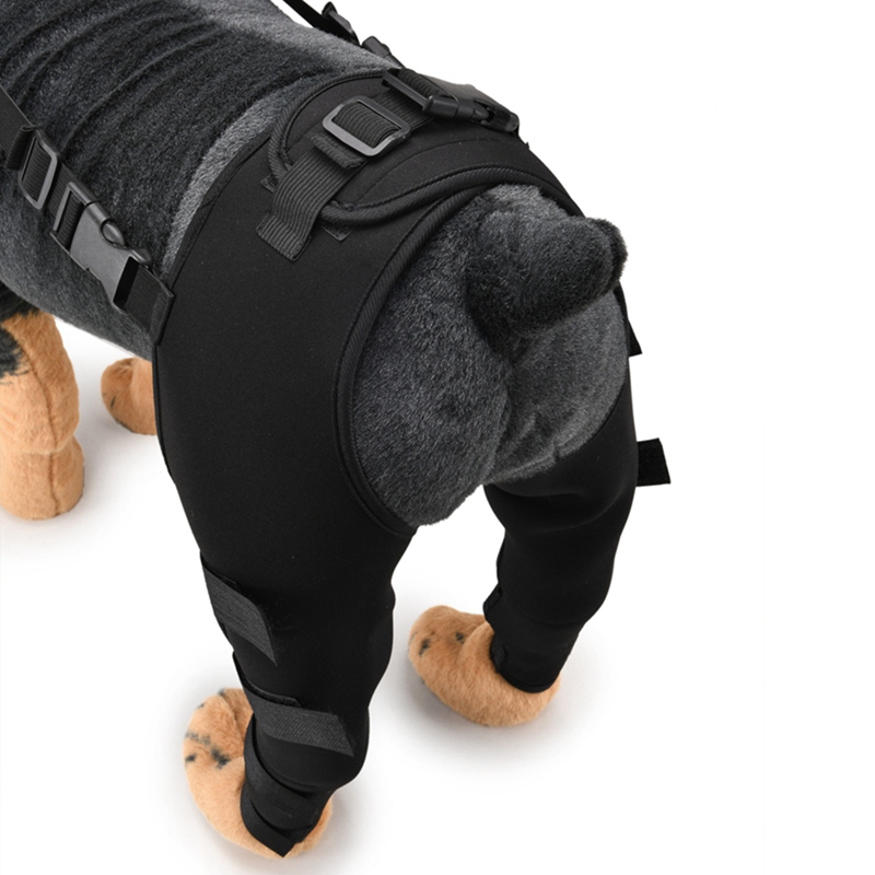 Hond Been Brace Zwart Benen Brace Hond Knie Spronggewricht Protector Honden Pad Therapeutische Ondersteuning Schokbestendig Outdoor Training Beschermen