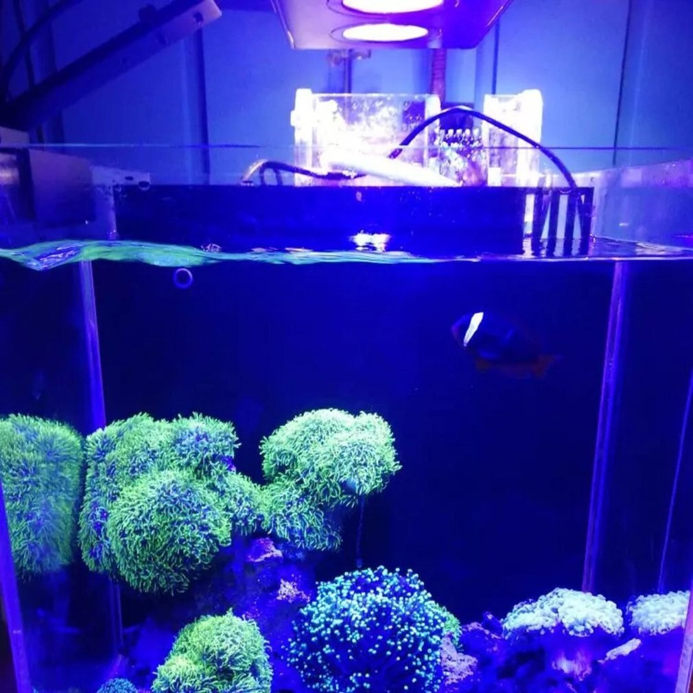 LED Spectra Aquarium Light 30W illuminazione ad acqua salata con controllo per serbatoio di pesce Coral Reef US EU Plug