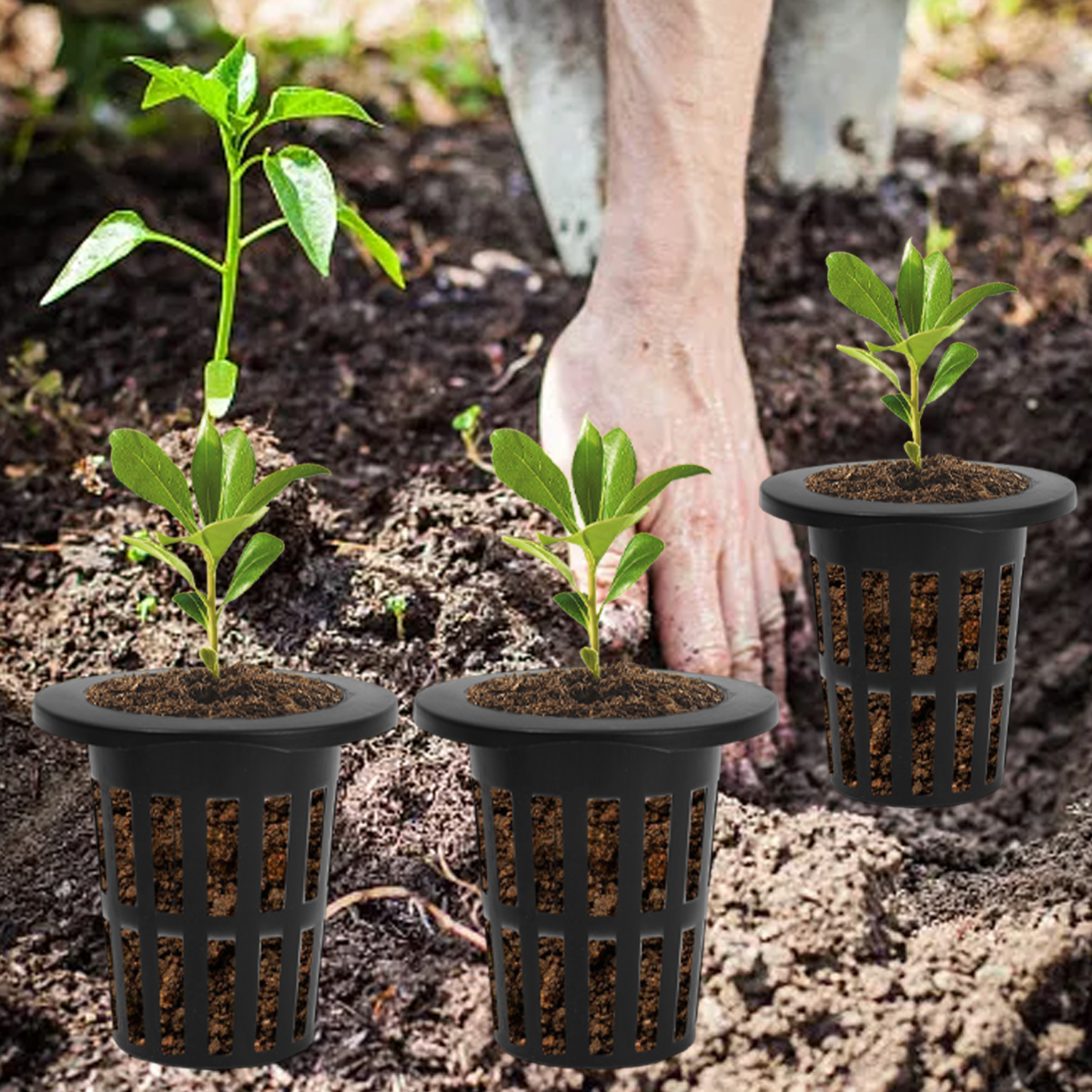 Vasos de red para macetas hidropónicas, cultivo sin suelo para jardín, taza de red de malla ranurada, enrooter de plantas de plástico, cestas de red cultivadas, macetas para vivero